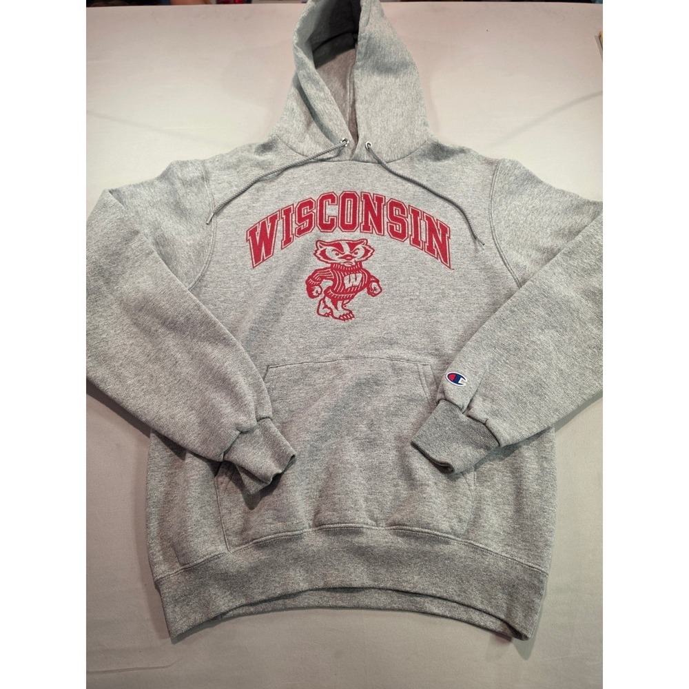 Champion Wisconsin Badgers Hoodie Gray Bucky Badger Sweatshirt Small 1059